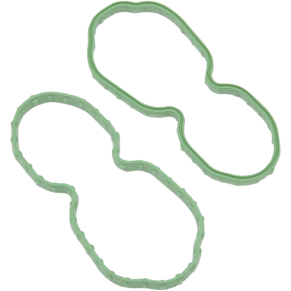 (image for) Drag Specialties Fuel Pump Door Seal 0701-0667