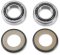 (image for) Steering Stem Bearing Kit 0410-0029