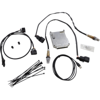 (image for) ThunderMax ECM for Softail/Touring/XL (2001-2010)