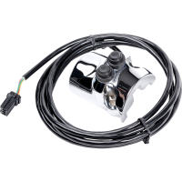(image for) Switch Assembly for Road Glide