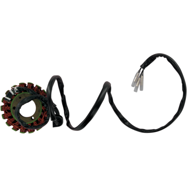 (image for) RICK'S MOTORSPORT ELECTRIC Stator for Suzuki GS1000S 82