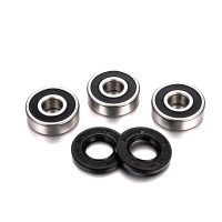 (image for) Rear Wheel Bearing Kit - FANTIC