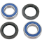 (image for) Rear Wheel Bearing and Seal Kit