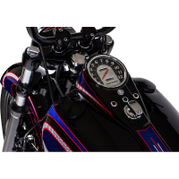 (image for) Vented Gas Cap with Paint Protector