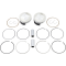 (image for) Tracker Series Piston Kit - 3.875" Bore