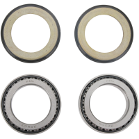 (image for) Steering Stem Bearing Kit 22-1039