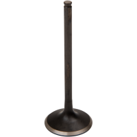 (image for) Black Diamond Intake Valve