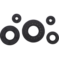 (image for) Engine Oil Seal Kit for Ski-Doo Summit 94