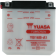 (image for) Yuasa YuMicron 12V Battery - YB16B-A1