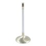 (image for) Extreme-Duty Tulip Intake Valve