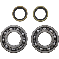 (image for) Crank Bearing and Seal Kit - BETA EVO 300 Factory 2T 22-23