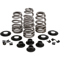 (image for) KPMI Valve Spring Kit 0926-2999