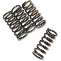(image for) Springs 1131-0650