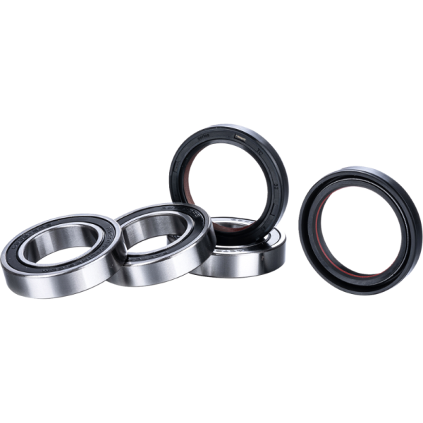 (image for) FACTORY LINKS Race Series Rear Wheel Bearing Kit