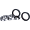 (image for) Race Series Rear Wheel Bearing Kit