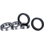 (image for) Race Series Rear Wheel Bearing Kit