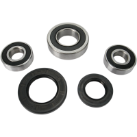 (image for) Rear Wheel Bearing and Seal Kit for Suzuki DL1000 V-Strom 02-12