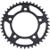 (image for) JT Rear Sprocket (41-Tooth)
