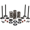 (image for) Black Diamond Engine Valve Kit for XL