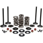 (image for) Black Diamond Engine Valve Kit for XL