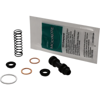 (image for) Foot Rear Brake Master Cylinder Kit