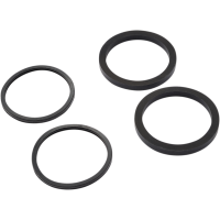 (image for) Caliper Seals Only Kit 1702-0123