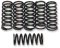 (image for) Barnett Clutch Springs for Kawasaki ZZR1200 02-05