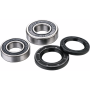 (image for) Rear Wheel Bearing Kit - BETA