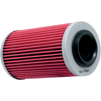 (image for) K&N Performance Oil Filter KN-564