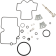 (image for) Carburetor Repair Kit for Beta 525 RR 4T 07-09