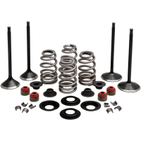 (image for) Black Diamond Engine Valve Kit for Twin Cam