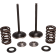 (image for) Stainless Steel Conversion Valve and Spring Kit - Intake