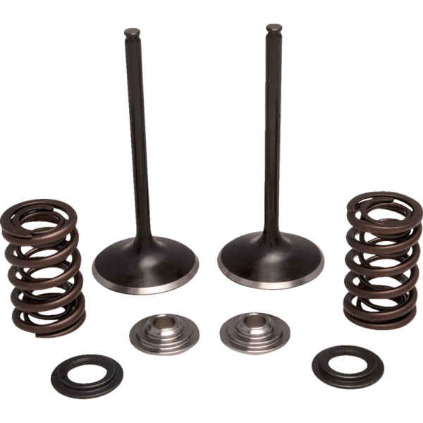 (image for) KIBBLEWHITE Stainless Steel Conversion Valve and Spring Kit - Intake