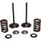 (image for) Stainless Steel Conversion Valve and Spring Kit - Intake