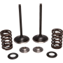 (image for) Stainless Steel Conversion Valve and Spring Kit - Intake