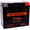 (image for) Yuasa GYZ Factory-Activated AGM Maintenance-Free Battery 2113-0109