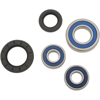 (image for) Rear Wheel Bearing and Seal Kit for Suzuki DL1000 V-Strom 02-12