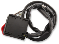 (image for) Chrome Dimmer and Horn Switches