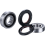 (image for) Race Series Rear Wheel Bearing Kit