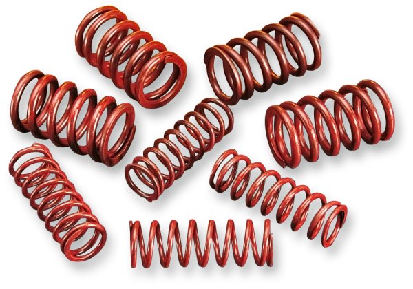 Andrews High-Lift Valve Spring Kit