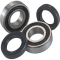 (image for) Front Wheel Bearing and Seal Kit