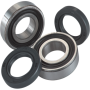 (image for) Front Wheel Bearing and Seal Kit