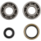 (image for) ProX Crankshaft Bearing and Seal Kit