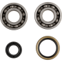 (image for) ProX Crankshaft Bearing and Seal Kit