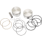 (image for) Piston Kit 107" XL Hot Set-Up Std
