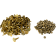 (image for) Gold Digger Traction Master Carbide Studs - 1.175" Length, 144 Pack