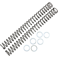 (image for) Race Tech Fork Spring 0405-0152