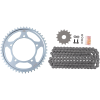 (image for) X-Ring Chain & Sprocket Kit for Suzuki DL650 V-Strom 07-18