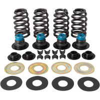 (image for) 0.585" Valve Spring Kit