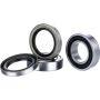 (image for) Race Series Rear Wheel Bearing Kit